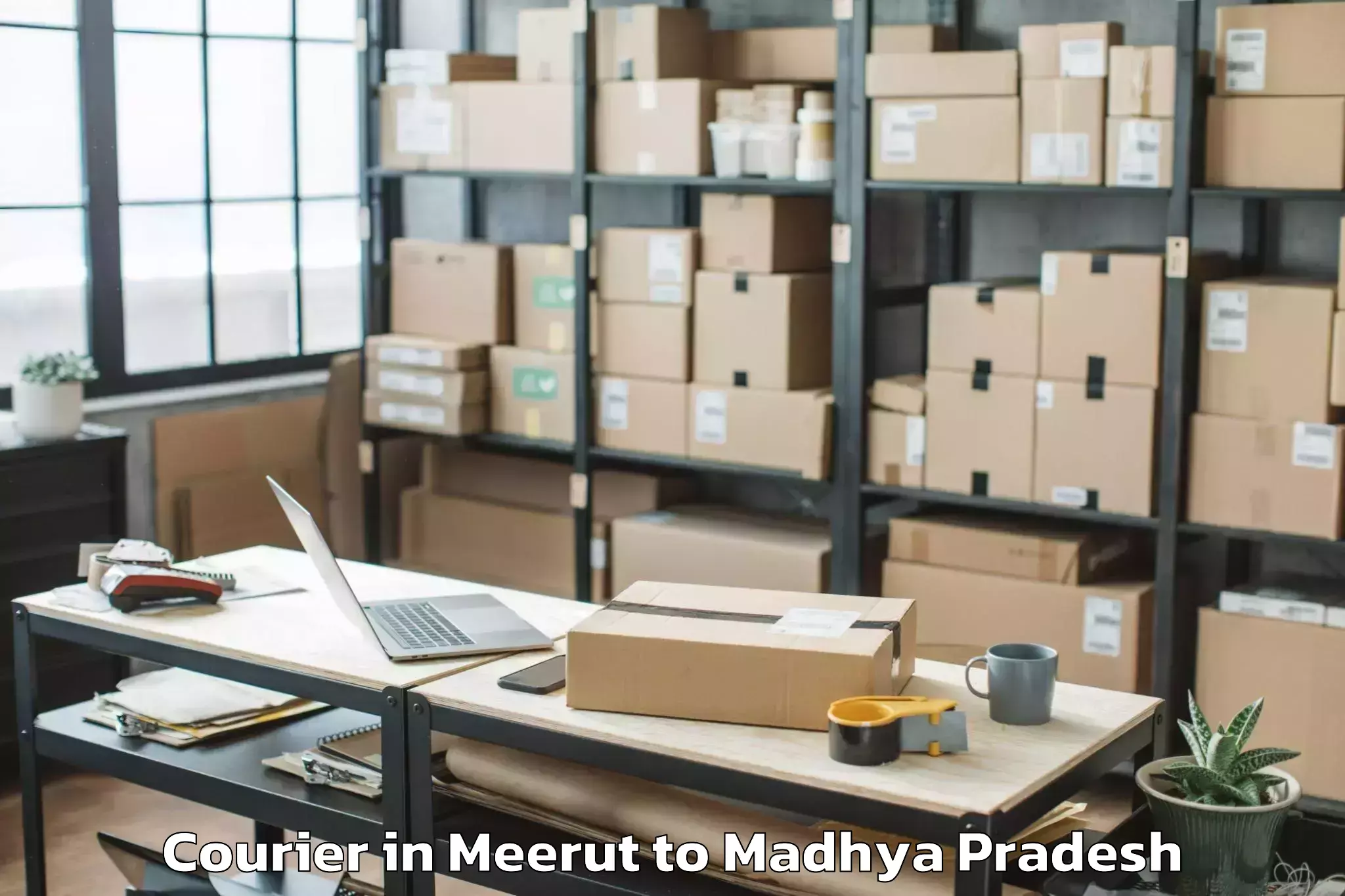 Reliable Meerut to Sanchi Courier